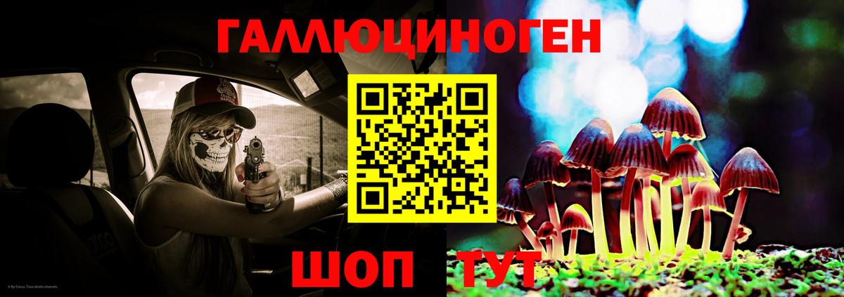 Галлюциногенные грибы Psilocybine cubensis  Галлюциногенные грибы Psilocybe  Вход с VPN  Лениногорск 